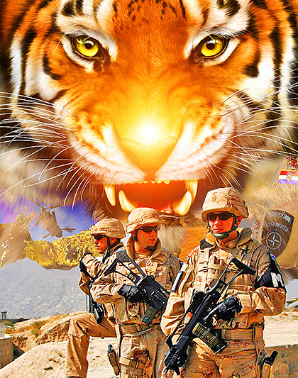 Croatia-Army-Like-a-Tiger