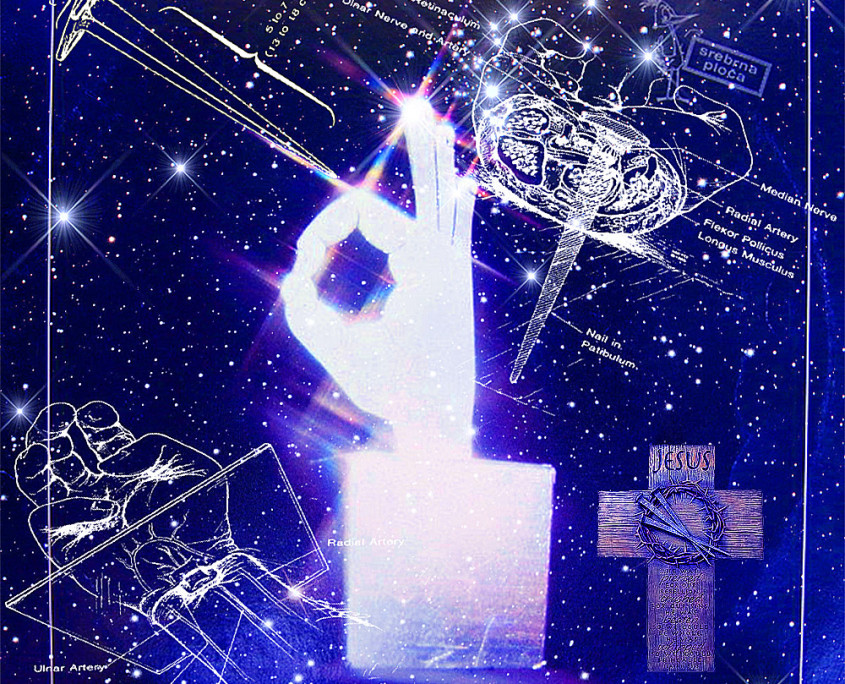novifosilialbumcover